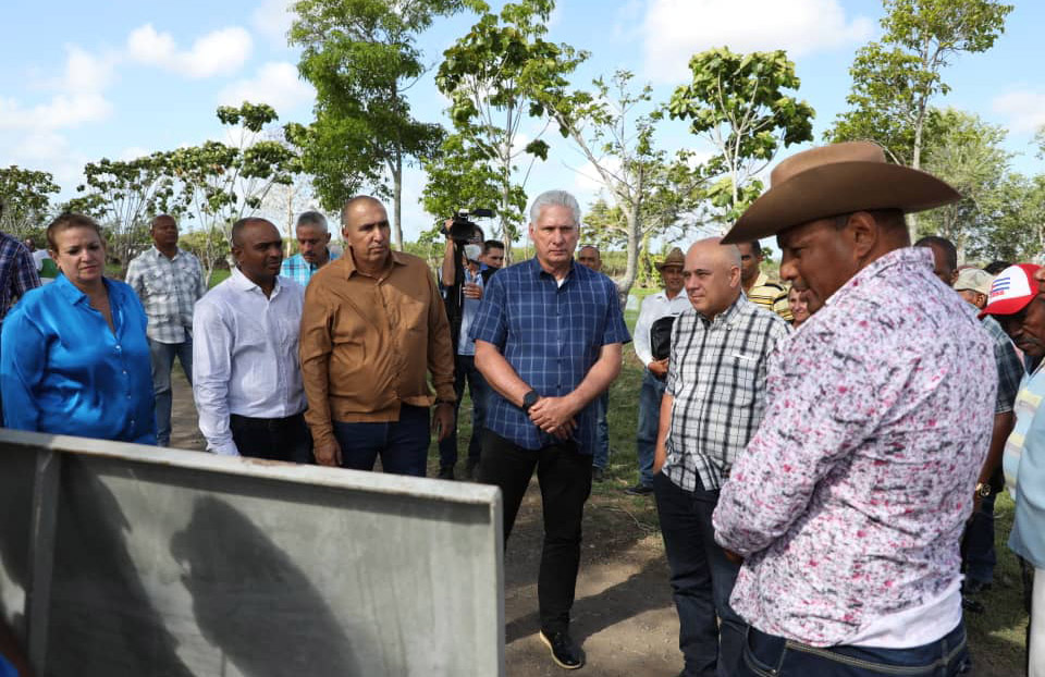 Recorre Díaz-Canel municipios de Las Tunas 
