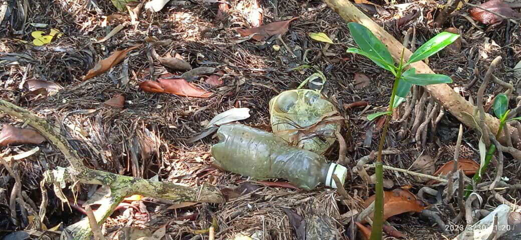 Contaminación por plásticos