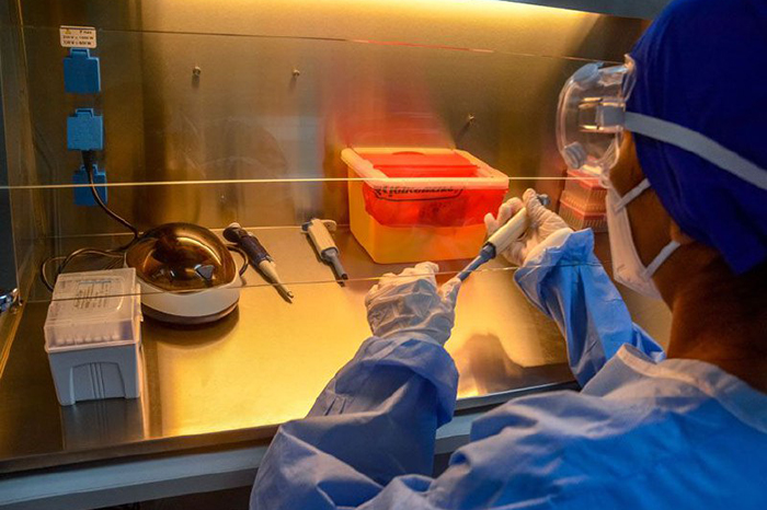 Virus Oropouche Virus Oropouche