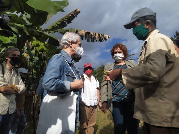 El intelectual brasileño Frei Betto visita a Cuba para participar en las jornadas por el Plan de Soberanía Alimentaria y Educación Nutricional. El intelectual brasileño Frei Betto visita a Cuba para participar en las jornadas por el Plan de Soberanía Alimentaria y Educación Nutricional.