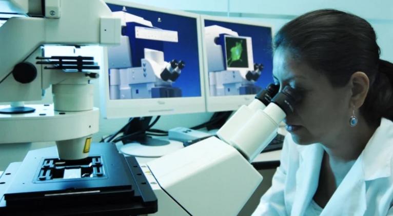 Cuba e Italia lideran estudio internacional sobre planta medicinal