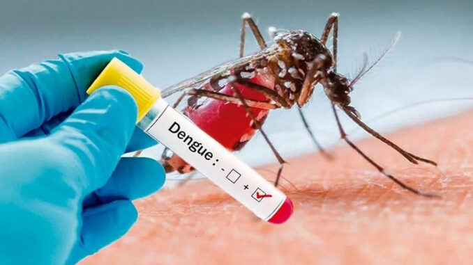 Desarrolla Cuba prueba rápida de detección del dengue Desarrolla Cuba prueba rápida de detección del dengue