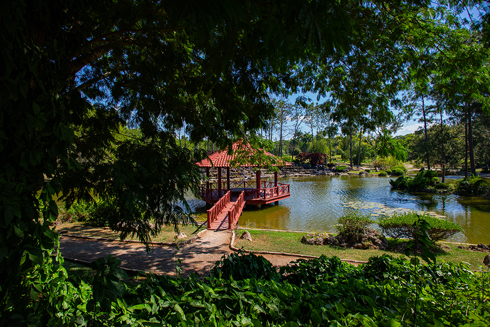 Jardín Japonés en La Habana