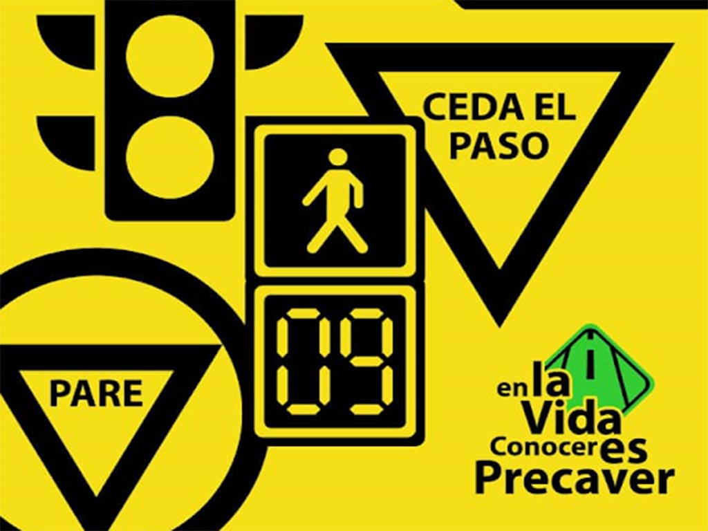 Seguridad vial