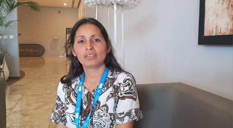 Maralys Domenech Hidalgo,líder de proyectos en la empresa cubana Citmatel Maralys Domenech Hidalgo,líder de proyectos en la empresa cubana Citmatel