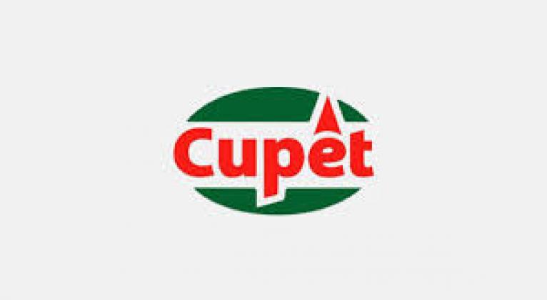 Empresa de Gas Manufacturado