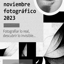 Noviembre fotográfico Noviembre fotográfico