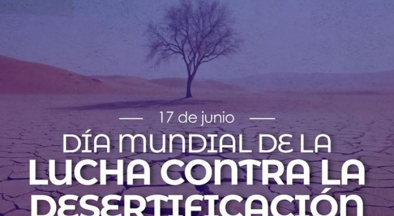 Día Mundial contra la Desertificación y la Sequía.