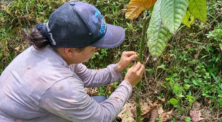 Día Internacional de las Mujeres Rurales Día Internacional de las Mujeres Rurales