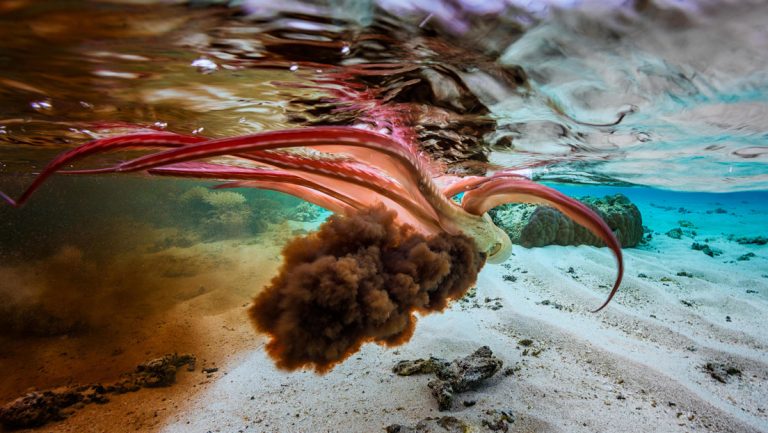 Tratamientos para el cáncer Tratamientos para el cáncer