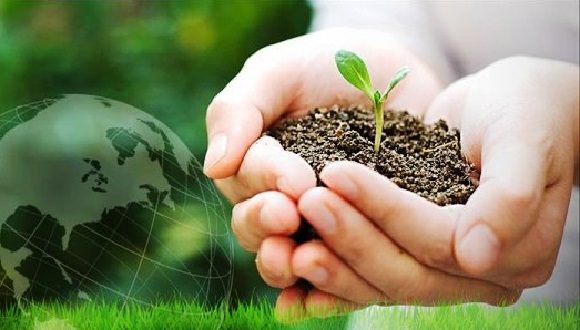 Tarea Vida Tarea Vida