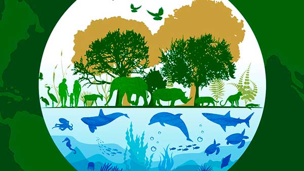 Vida silvestre Vida silvestre